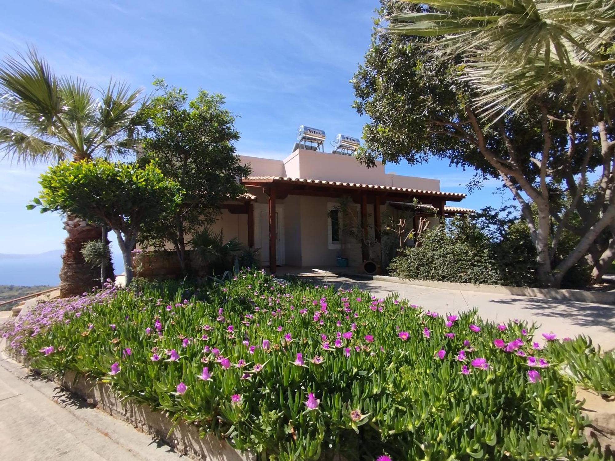 Alexena Apartments Agia Galini Buitenkant foto