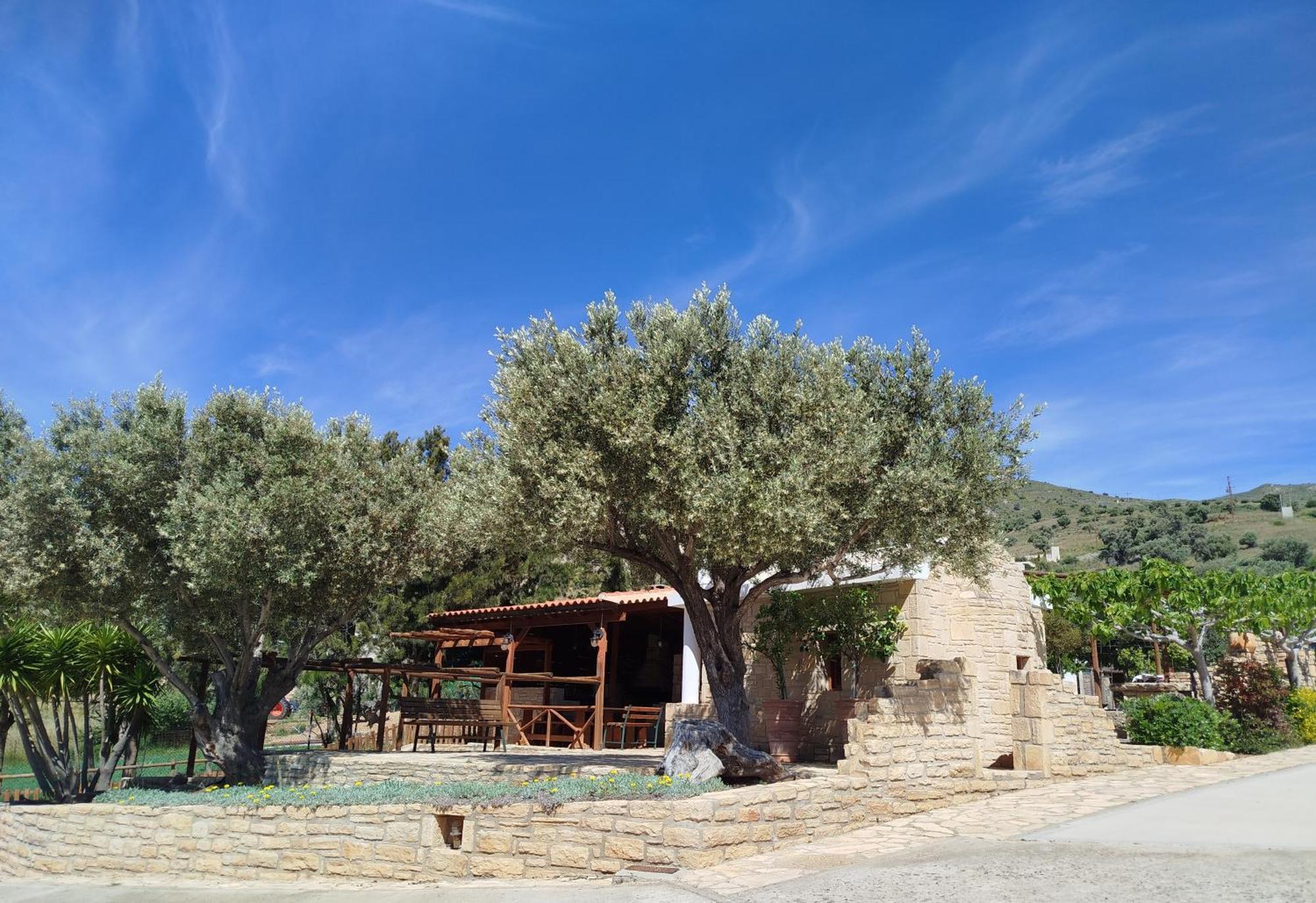 Alexena Apartments Agia Galini Buitenkant foto